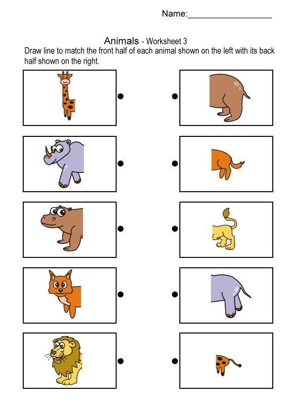 kindergarten worksheet animal tracks « animals parts body (1) printables funnycrafts