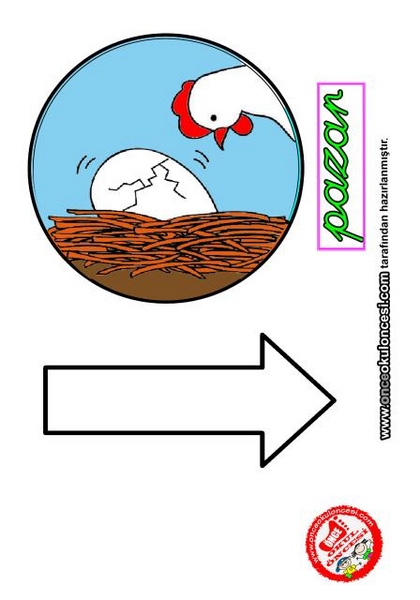 chicken_life_cycle_templates