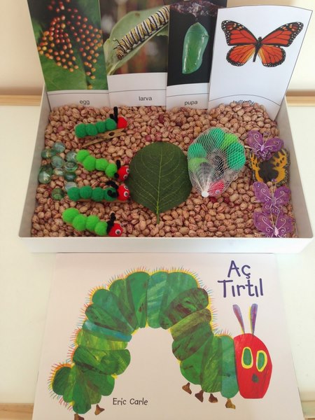 hungry_caterpillar_book