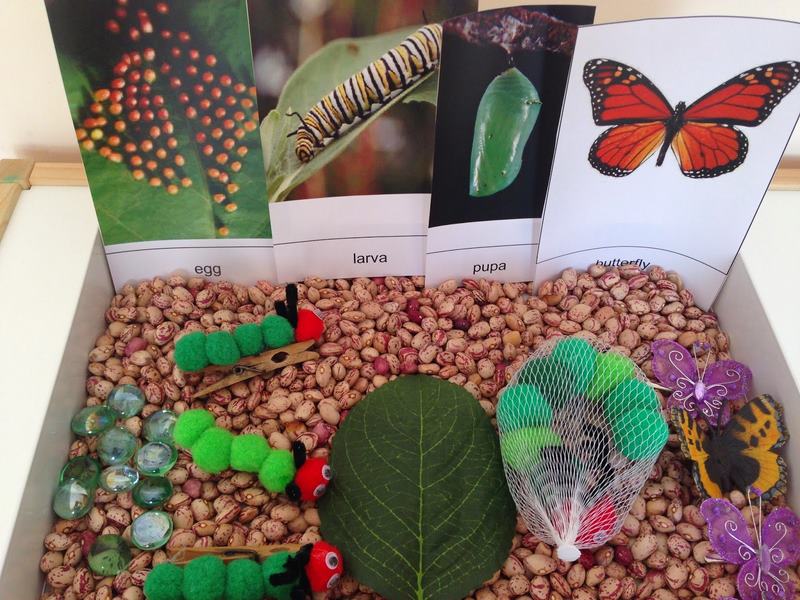 hungry_caterpillar_sensory_table