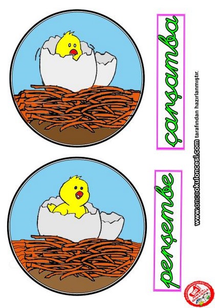 montessori_chicken_theme