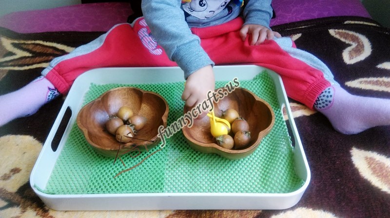 montessori_transfer_activities