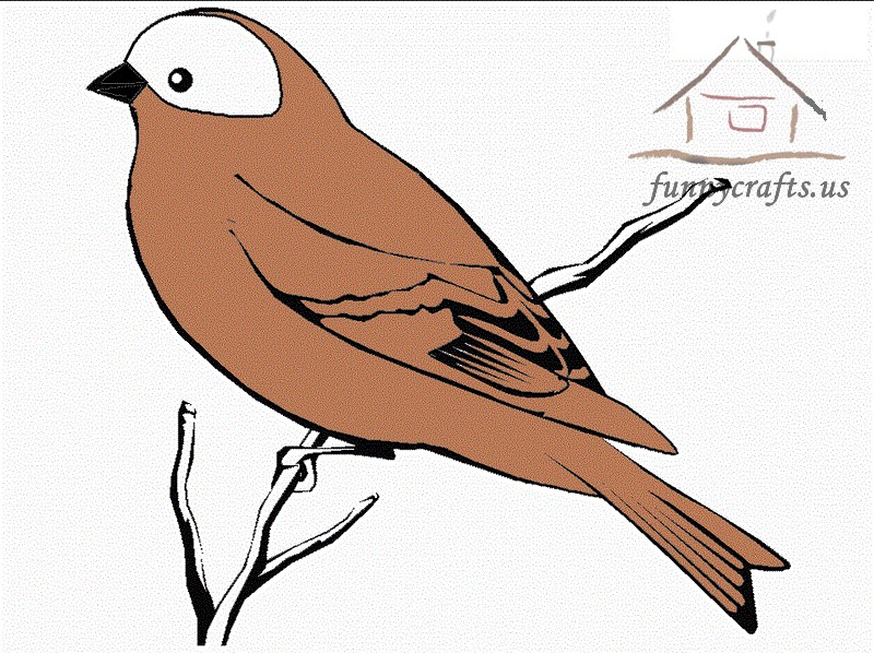 brown_bird