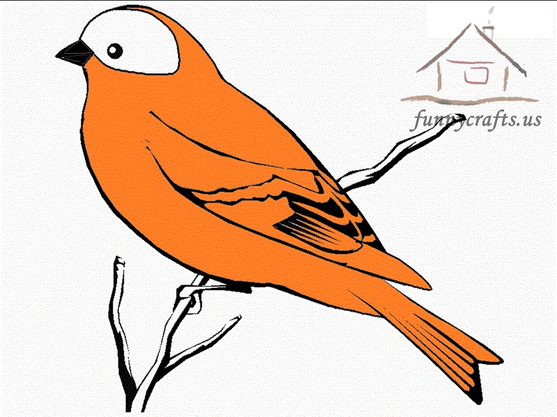 orange_bird