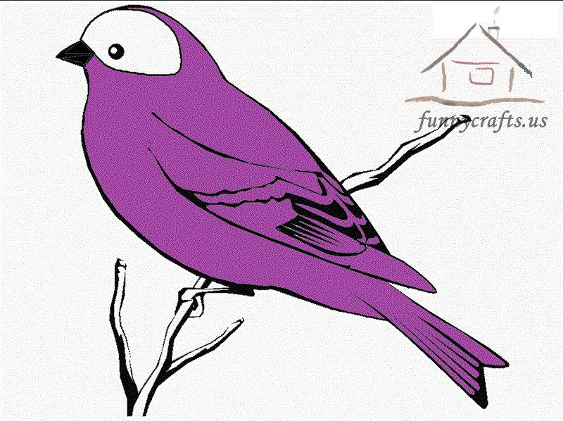 purple_bird