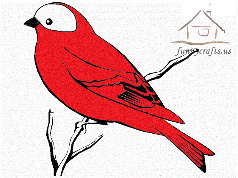 red_bird