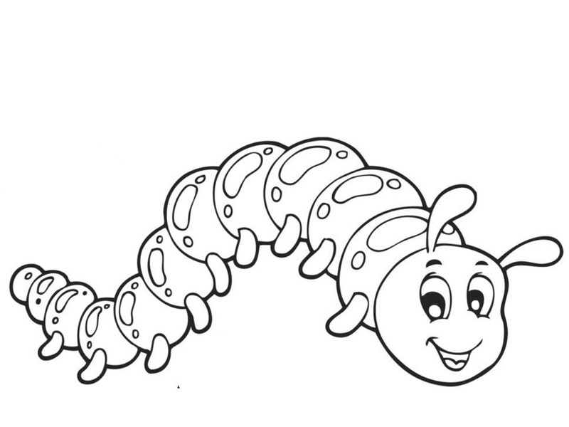 caterpillar coloring pages Preschool and Homeschool