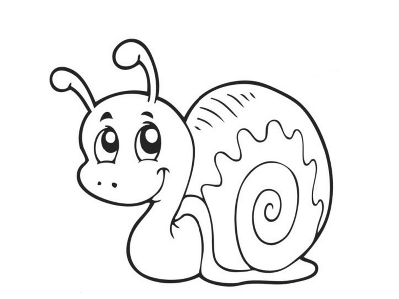 snail coloring pages « Preschool and Homeschool