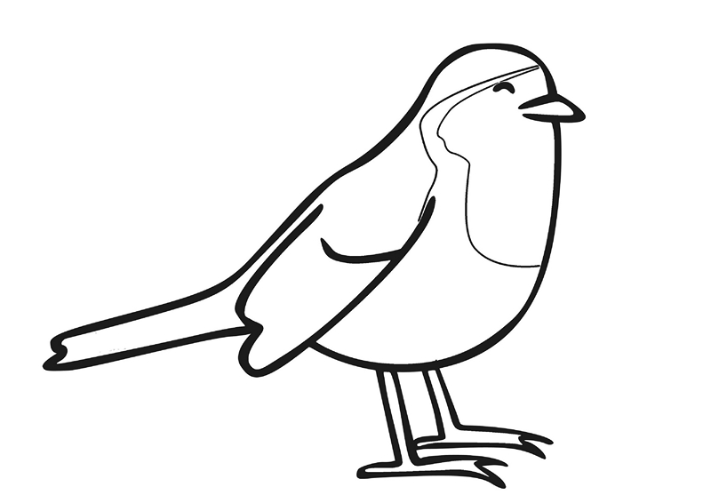 zoo coloring pages birds