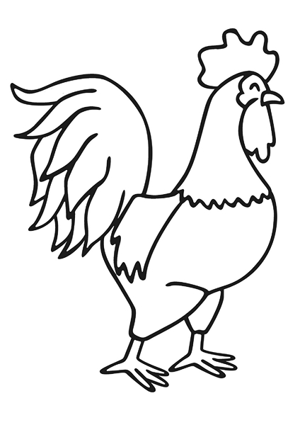 zoo coloring pages cock