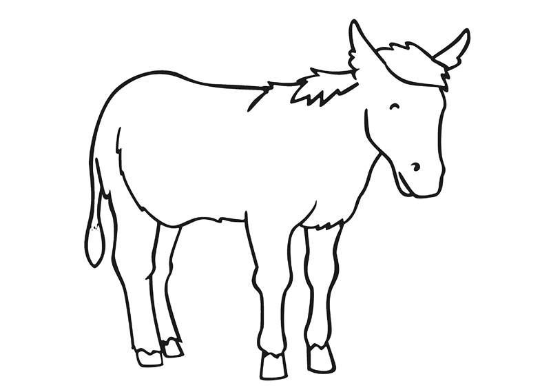 zoo coloring pages dankey