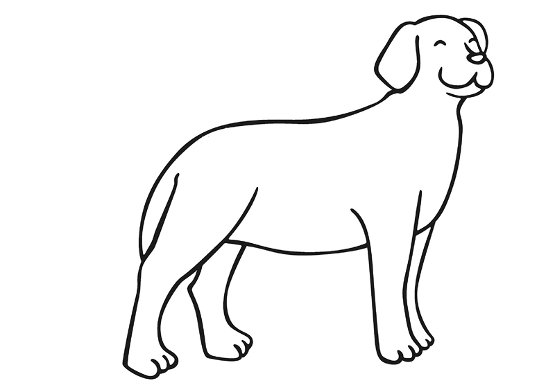 zoo coloring pages dog