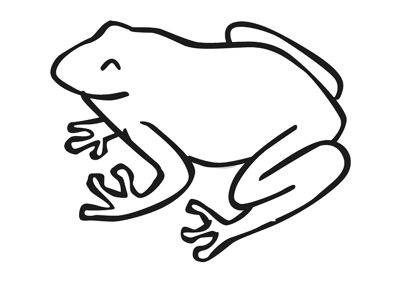 zoo coloring pages frog