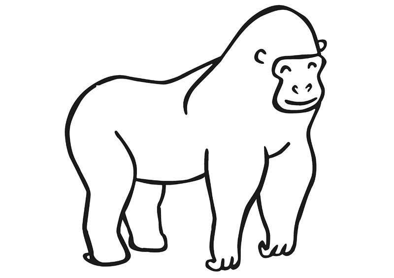 zoo coloring pages gorilla