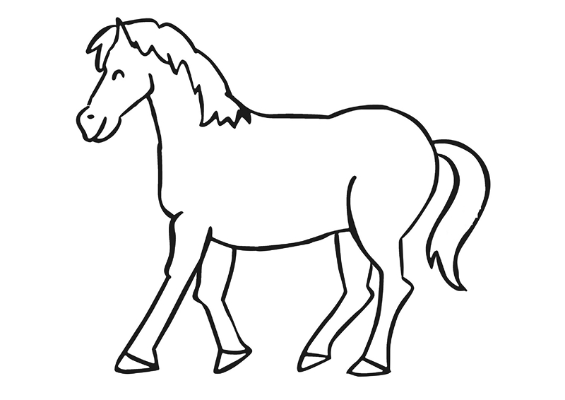 zoo coloring pages horse