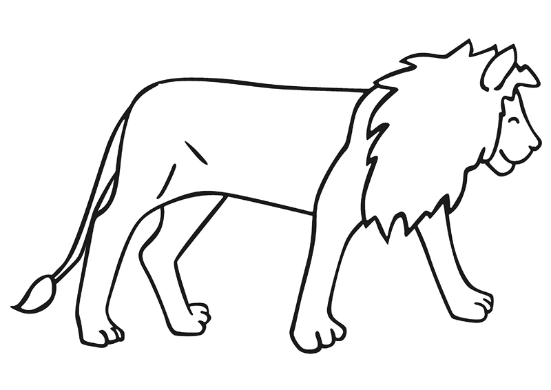 zoo coloring pages lions