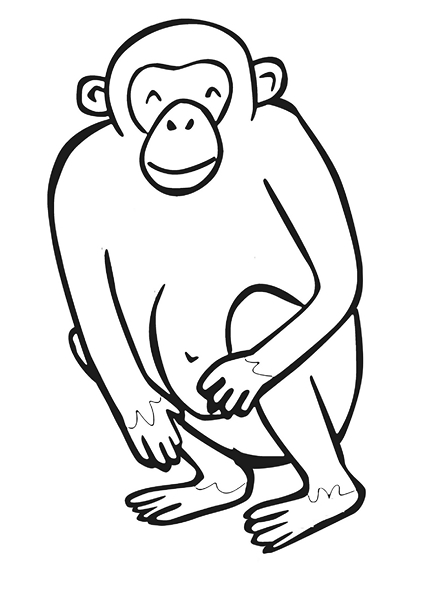 zoo coloring pages monkey