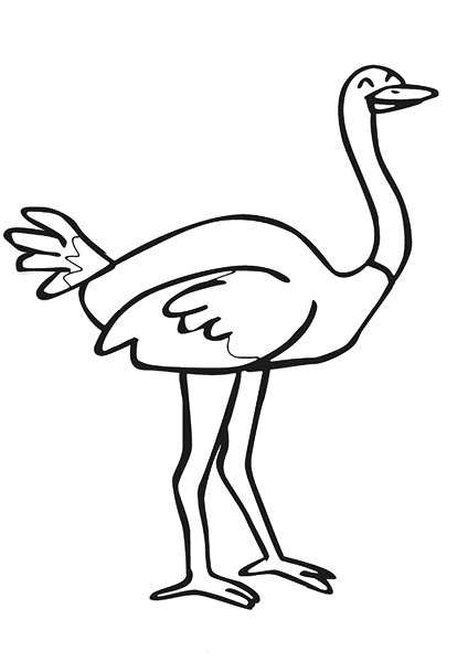 zoo coloring pages ostrich