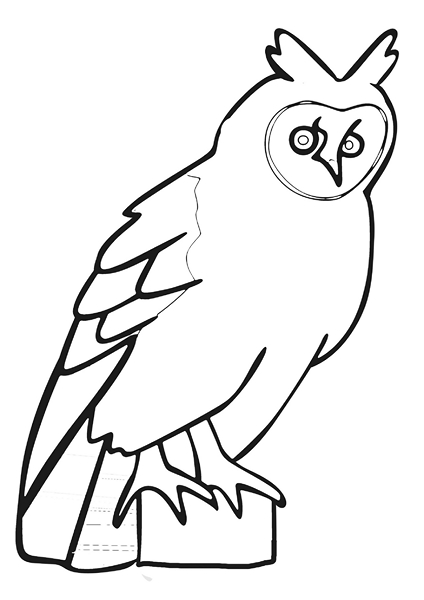 zoo coloring pages owl
