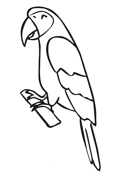 zoo coloring pages parrot