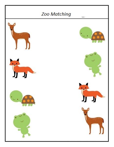 zoo matching activity