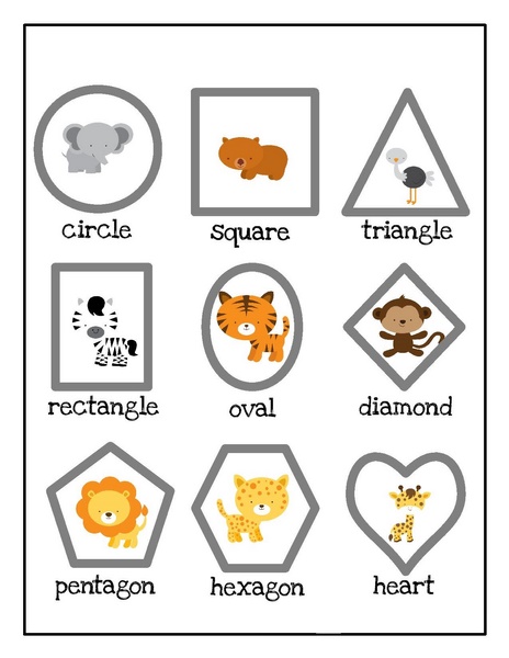zoo shapes activities for kıds