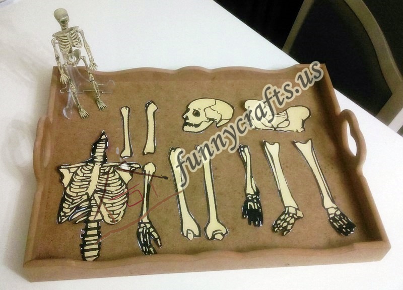 preschool skeleton activities