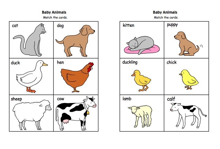 for preschoolers games alphabet board Homeschool and matching animal Preschool « cards baby