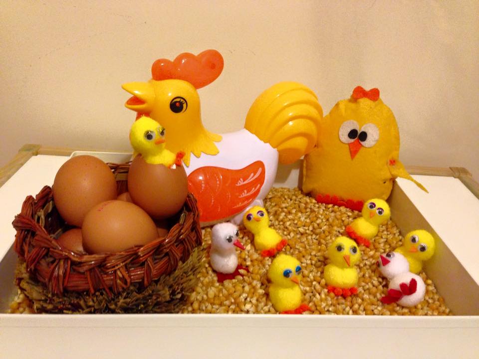 chicken life cycle activities and crafts for kids