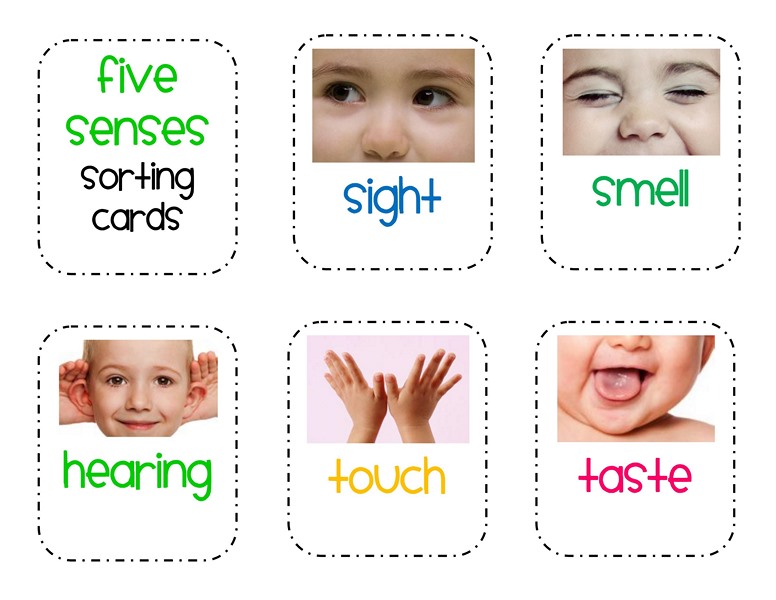 five senses sorting printables 1