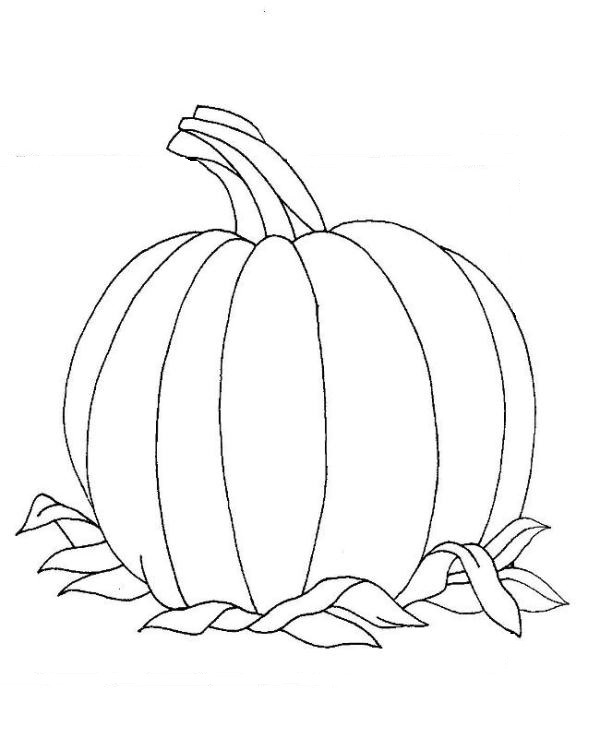 Download orange learning coloring pages (14) « Preschool and Homeschool