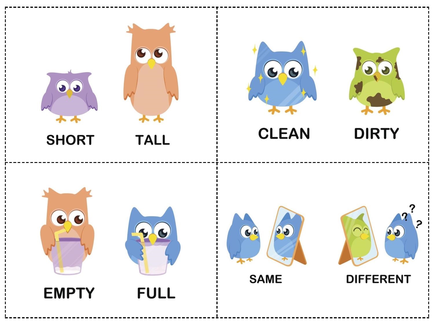 owl theme opposites cards 1