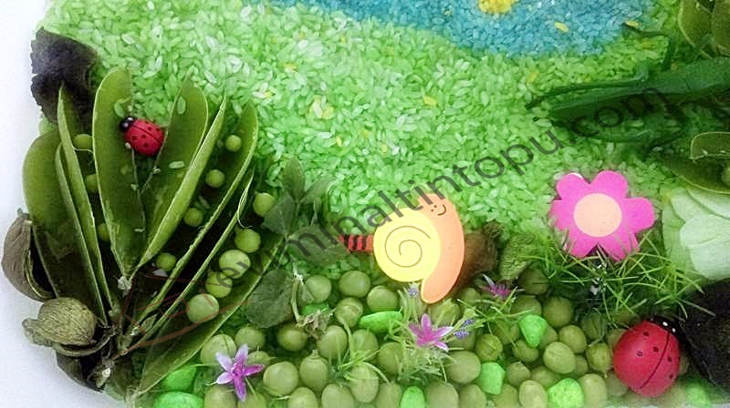 mixed beans & peas sensory tub for kids