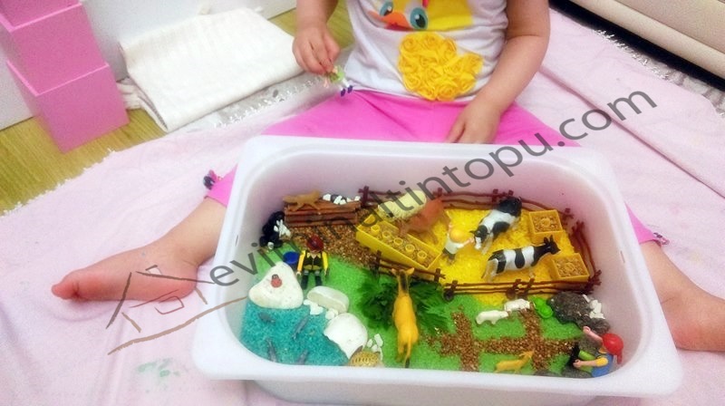 preschool farm activities and sensory play ıdeas