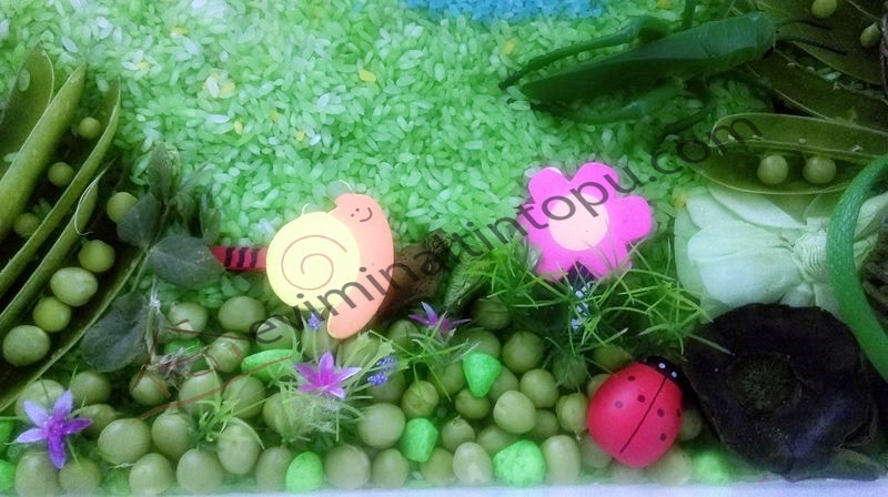 sweet peas and abcs,peas activities for kids