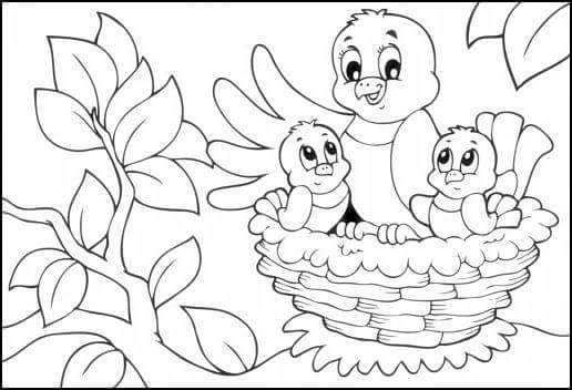 bird nest coloring page (2) « Preschool and Homeschool