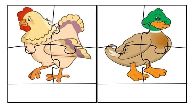 chicken duck printable puzzles « funnycrafts chicken duck printable puzzles « funnycrafts