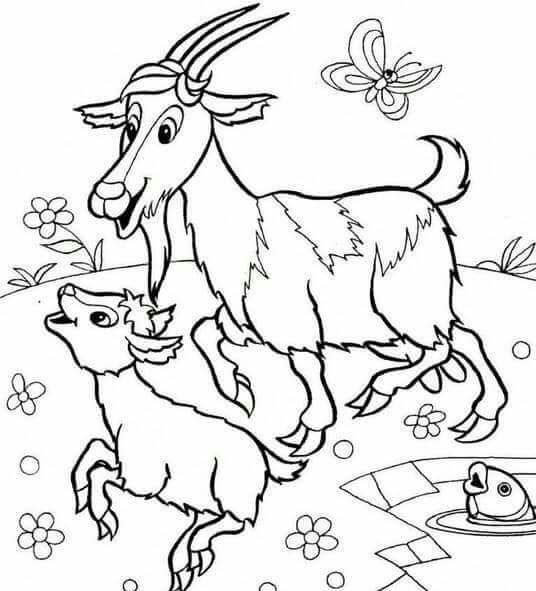 goat coloring pages « funnycrafts