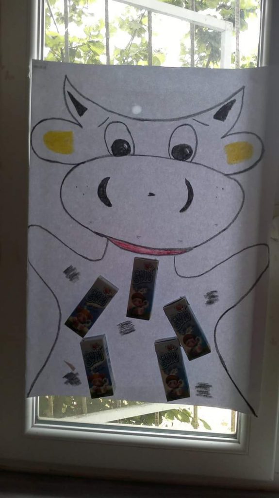 cow-drawing
